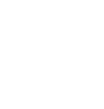 Logistieke optimalisatie: